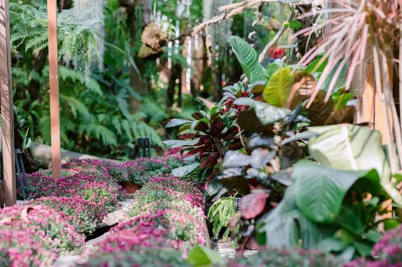 Choosing Low-Maintenance Plants for Busy Homeowners