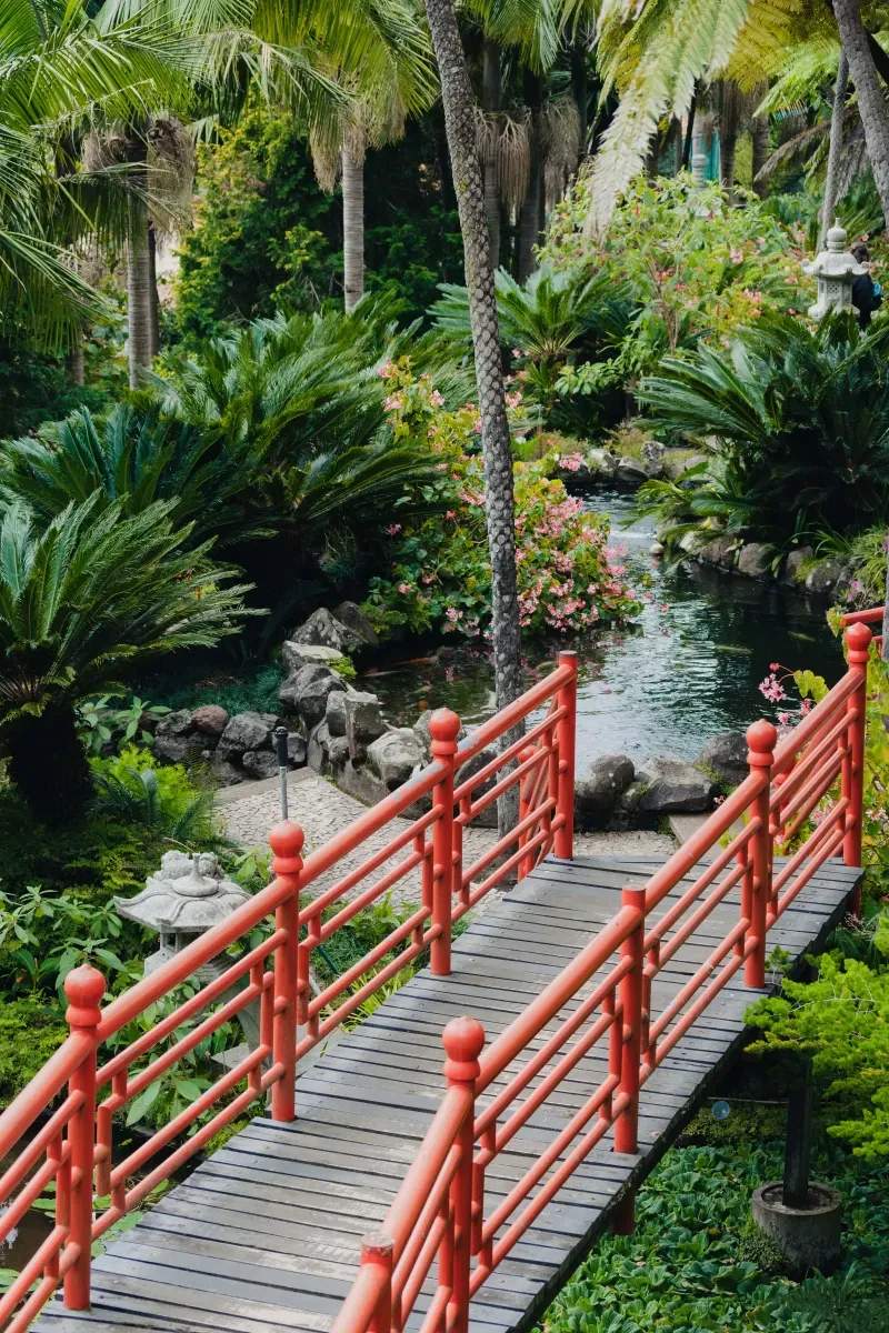 Why Winter Is a Smart Time to Plan a Garden Redesign