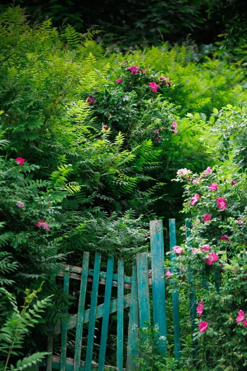 Northvale Gardenworks 14