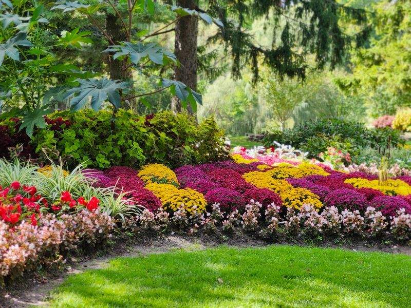 Northvale Gardenworks 3