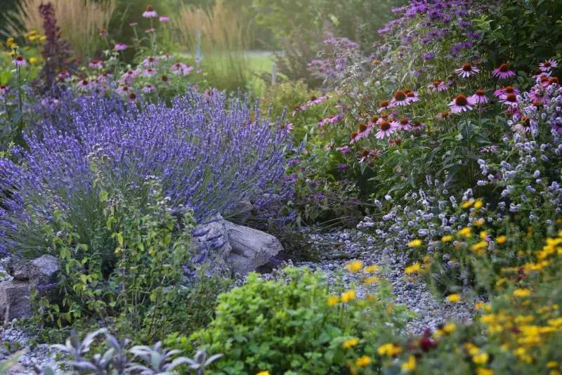 Lawn care and edging